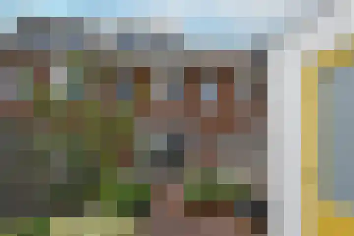 Meerkoet 41 Noorden thumbnail 12