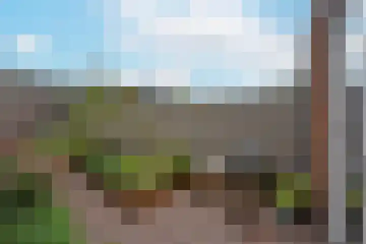 Meerkoet 41 Noorden thumbnail 13