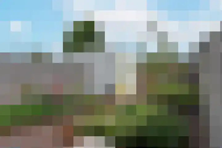 Meerkoet 41 Noorden thumbnail 14