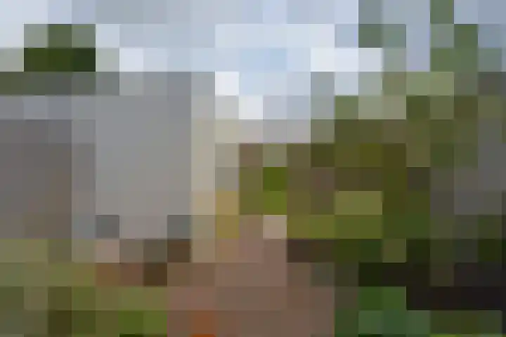 Meerkoet 41 Noorden thumbnail 15