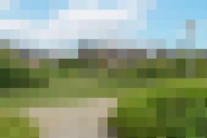 Meerkoet 41 Noorden thumbnail 16