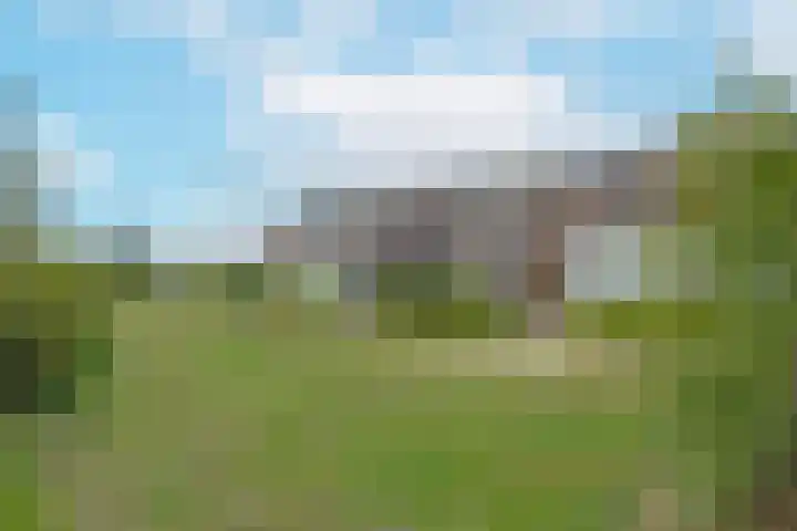Meerkoet 41 Noorden thumbnail 17
