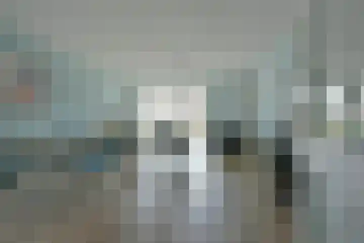 Meerkoet 41 Noorden thumbnail 18
