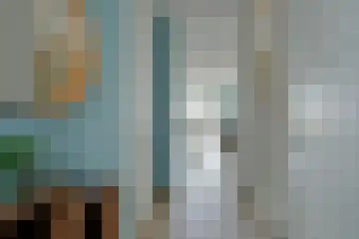 Meerkoet 41 Noorden thumbnail 19