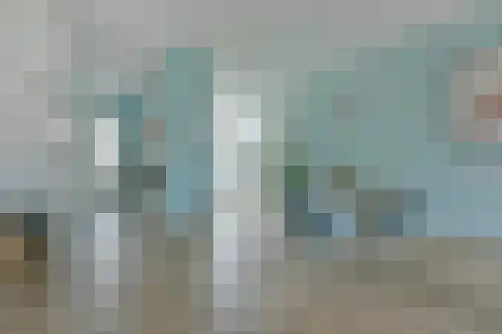 Meerkoet 41 Noorden thumbnail 20