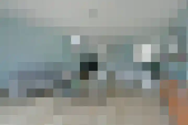 Meerkoet 41 Noorden thumbnail 21