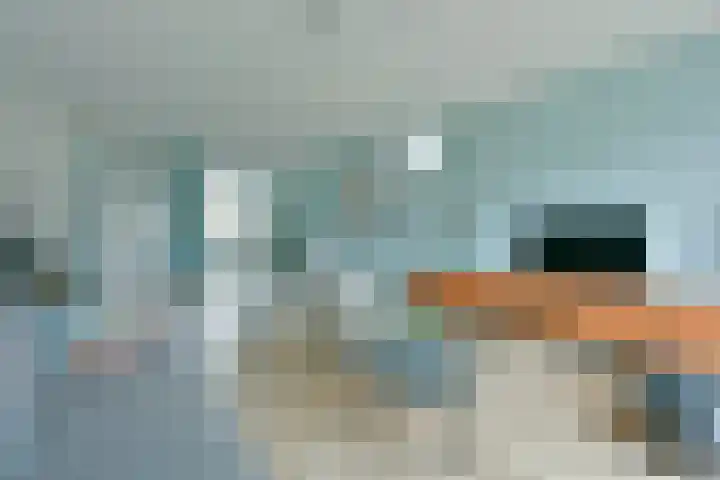Meerkoet 41 Noorden thumbnail 22