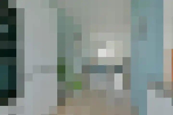 Meerkoet 41 Noorden thumbnail 25