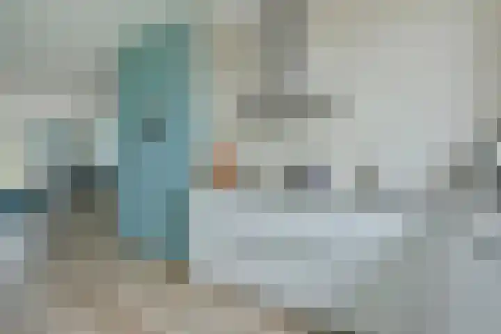 Meerkoet 41 Noorden thumbnail 26