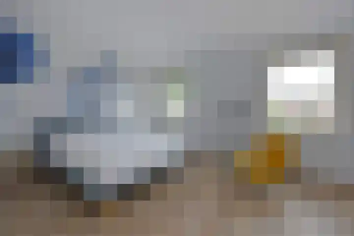 Meerkoet 41 Noorden thumbnail 28
