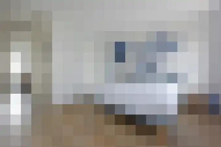 Meerkoet 41 Noorden thumbnail 29