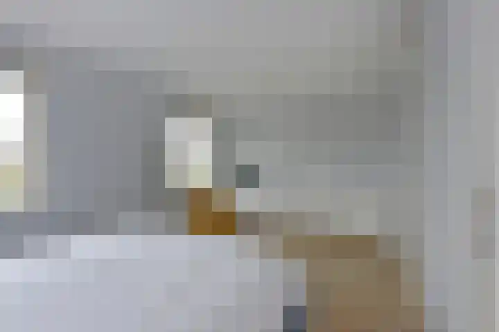 Meerkoet 41 Noorden thumbnail 30