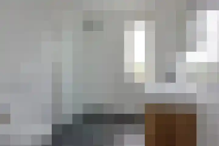 Meerkoet 41 Noorden thumbnail 31
