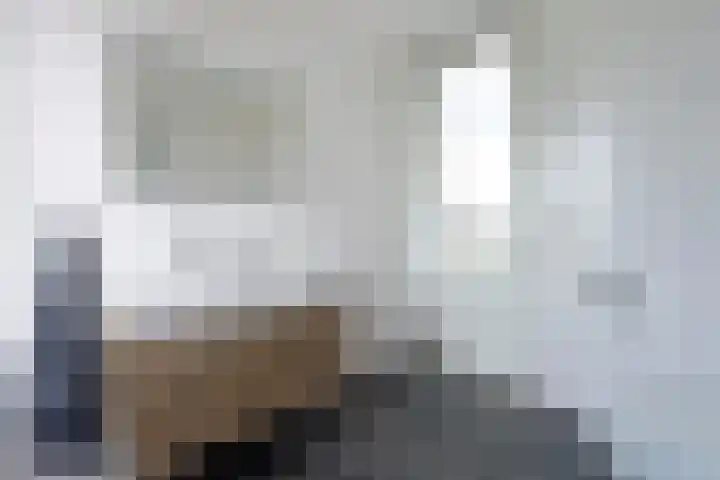 Meerkoet 41 Noorden thumbnail 32
