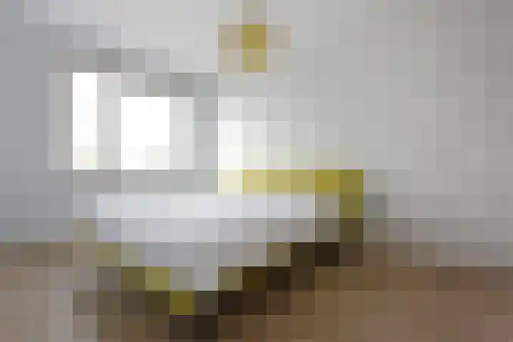 Meerkoet 41 Noorden thumbnail 33