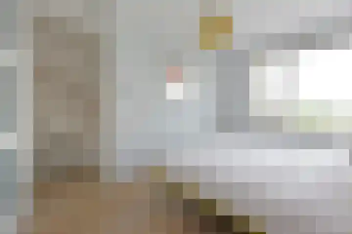 Meerkoet 41 Noorden thumbnail 34