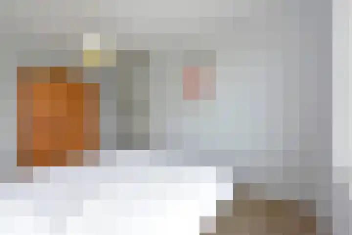 Meerkoet 41 Noorden thumbnail 35