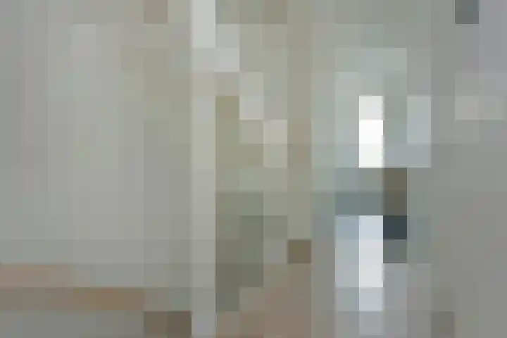 Meerkoet 41 Noorden thumbnail 36