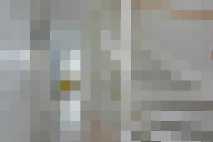 Meerkoet 41 Noorden thumbnail 37