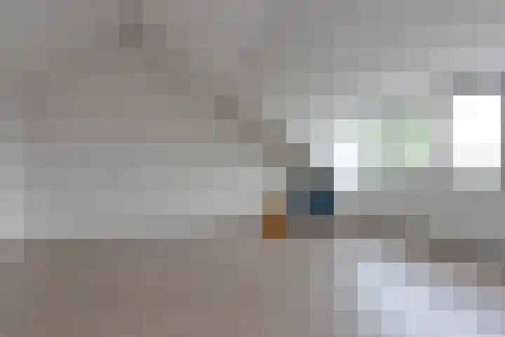 Meerkoet 41 Noorden thumbnail 38