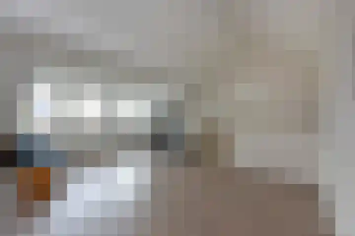 Meerkoet 41 Noorden thumbnail 39