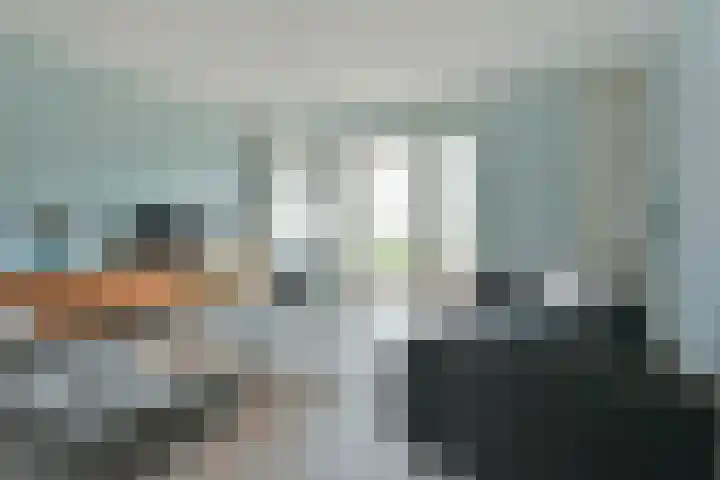 Meerkoet 41 Noorden thumbnail 4