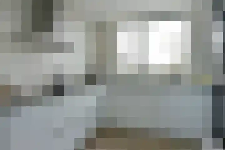 Meerkoet 41 Noorden thumbnail 5