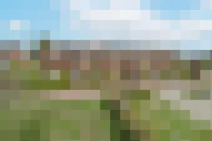 Meerkoet 41 Noorden thumbnail 6
