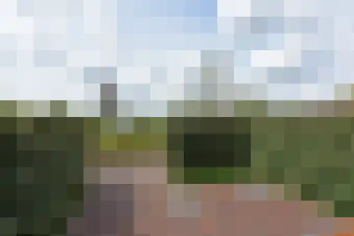 Meerkoet 41 Noorden thumbnail 7