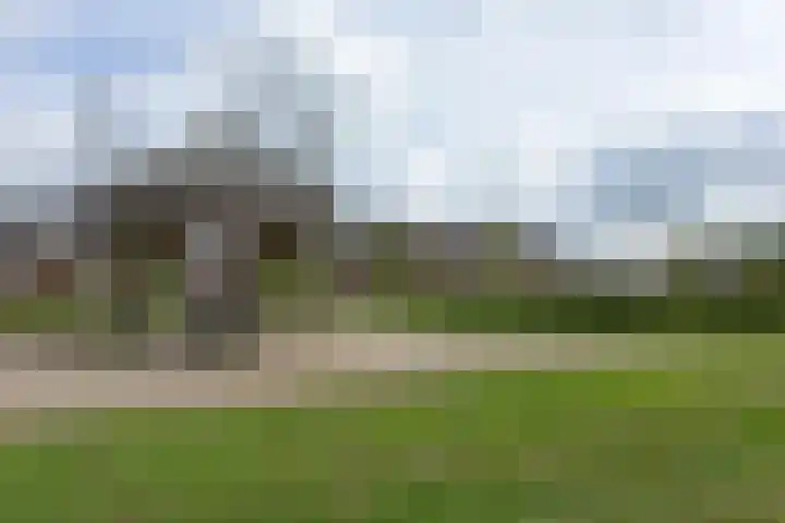 Meerkoet 41 Noorden thumbnail 8