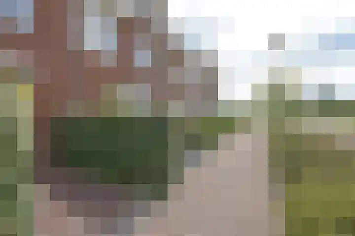 Meerkoet 41 Noorden thumbnail 9