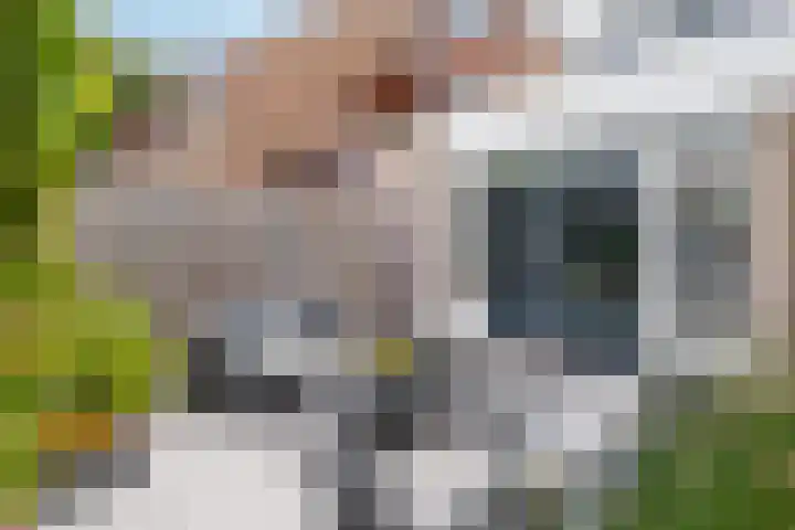 Meerkoet 41 Ridderkerk thumbnail 14