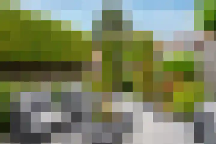 Meerkoet 41 Ridderkerk thumbnail 15