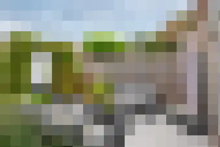 Meerkoet 41 Ridderkerk thumbnail 16
