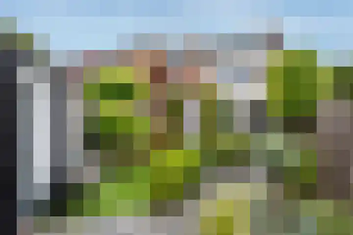 Meerkoet 41 Ridderkerk thumbnail 17
