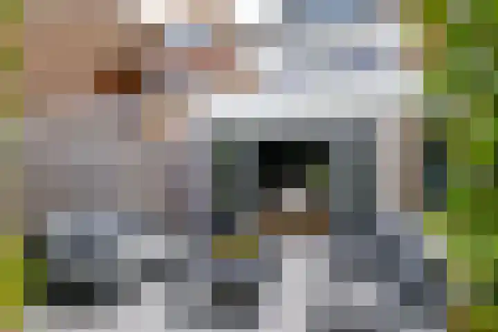 Meerkoet 41 Ridderkerk thumbnail 18