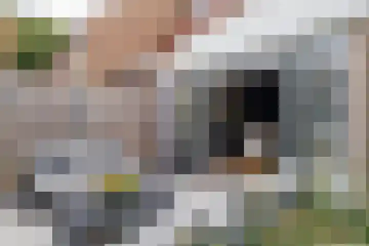 Meerkoet 41 Ridderkerk thumbnail 20