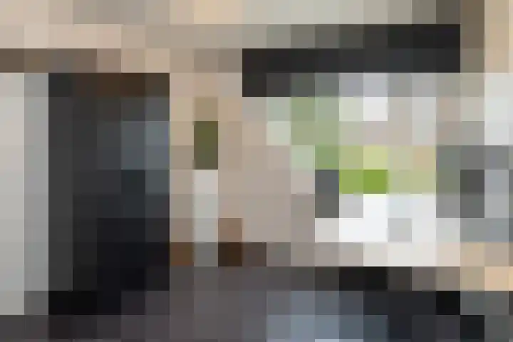 Meerkoet 41 Ridderkerk thumbnail 31
