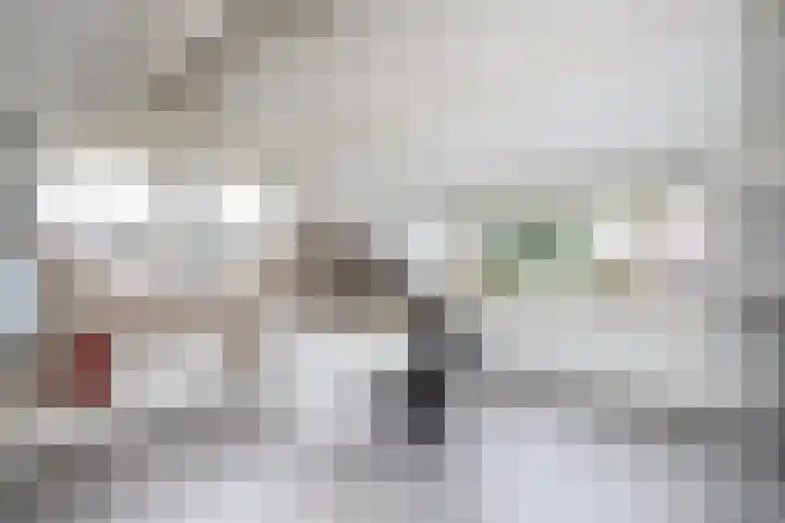 Meerkoet 41 Ridderkerk thumbnail 34