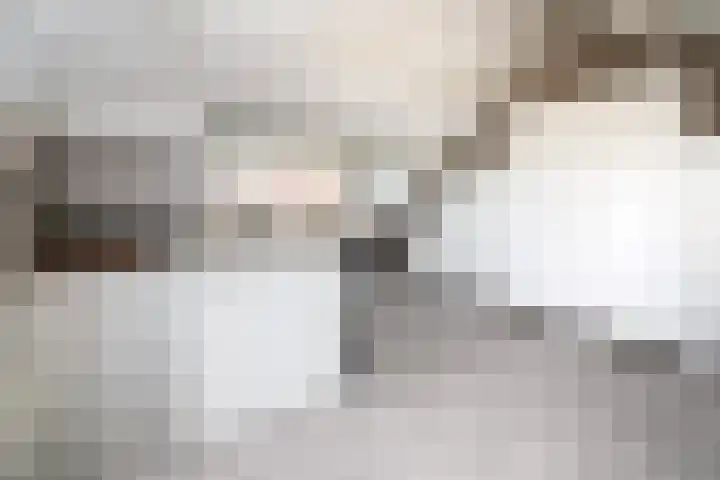 Meerkoet 41 Ridderkerk thumbnail 35