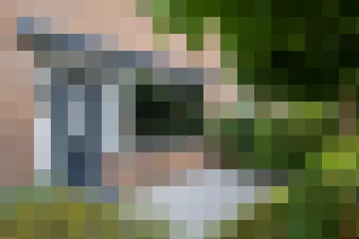 Meerkoet 41 Ridderkerk thumbnail 37