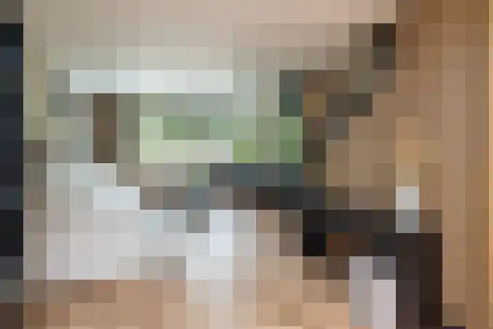 Meerkoet 41 Ridderkerk thumbnail 4