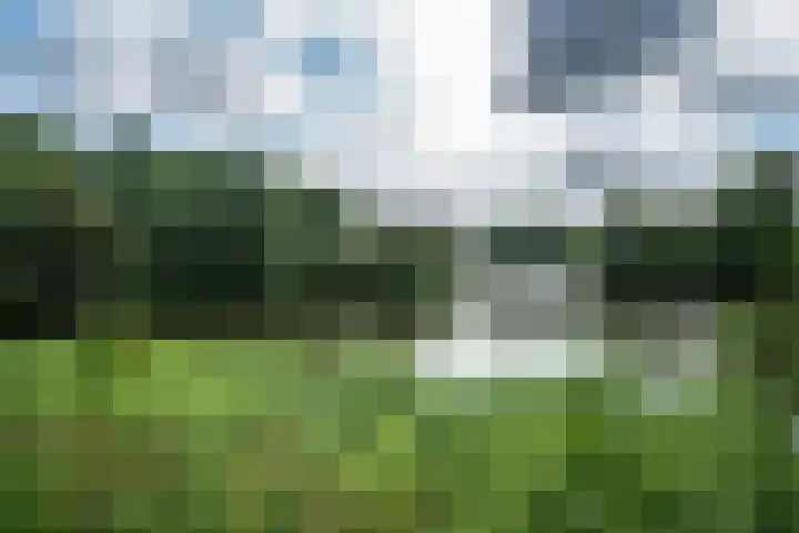 Meerkoet 41 Ridderkerk thumbnail 40