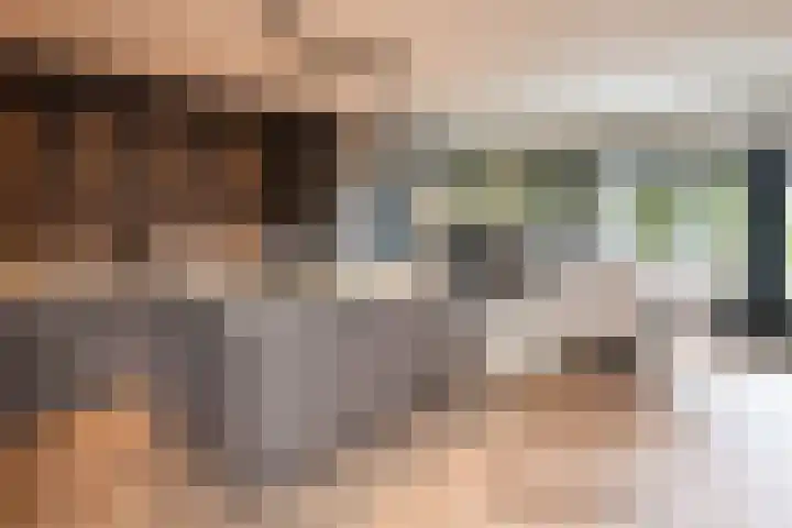 Meerkoet 41 Ridderkerk thumbnail 6