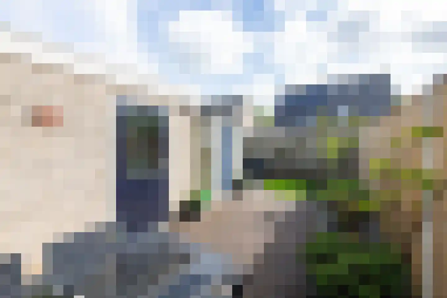 Meerkoet 41 Spanbroek thumbnail 32