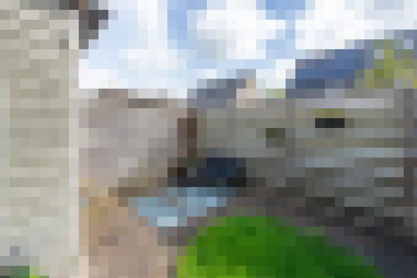 Meerkoet 41 Spanbroek thumbnail 33