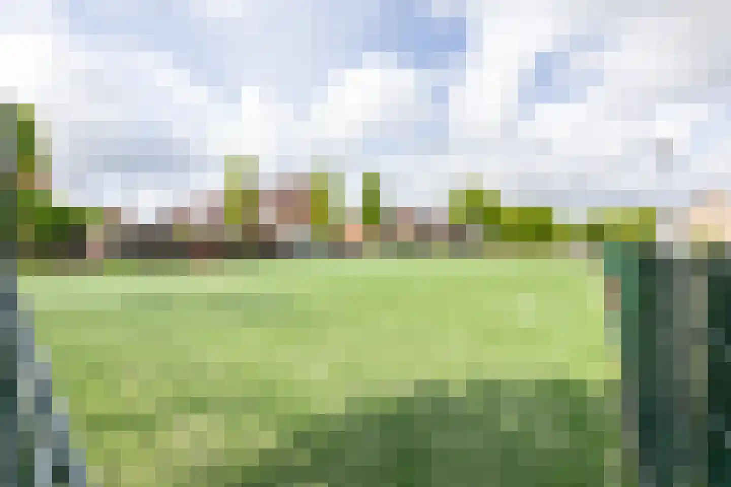 Meerkoet 41 Spanbroek thumbnail 38