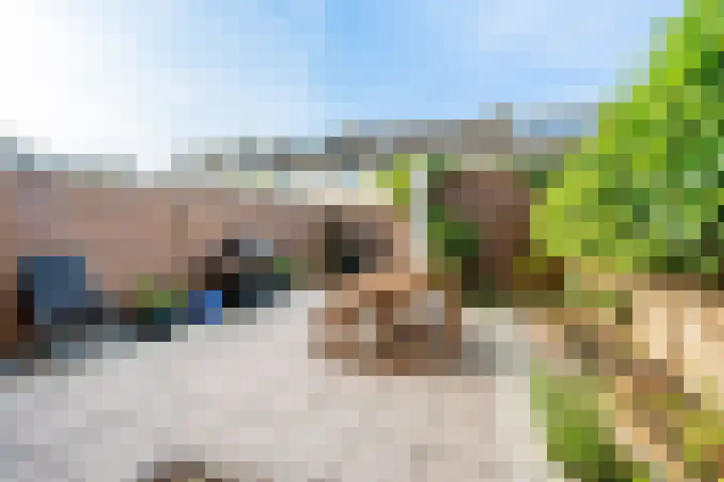 Meerkoet 42 Diemen thumbnail 16