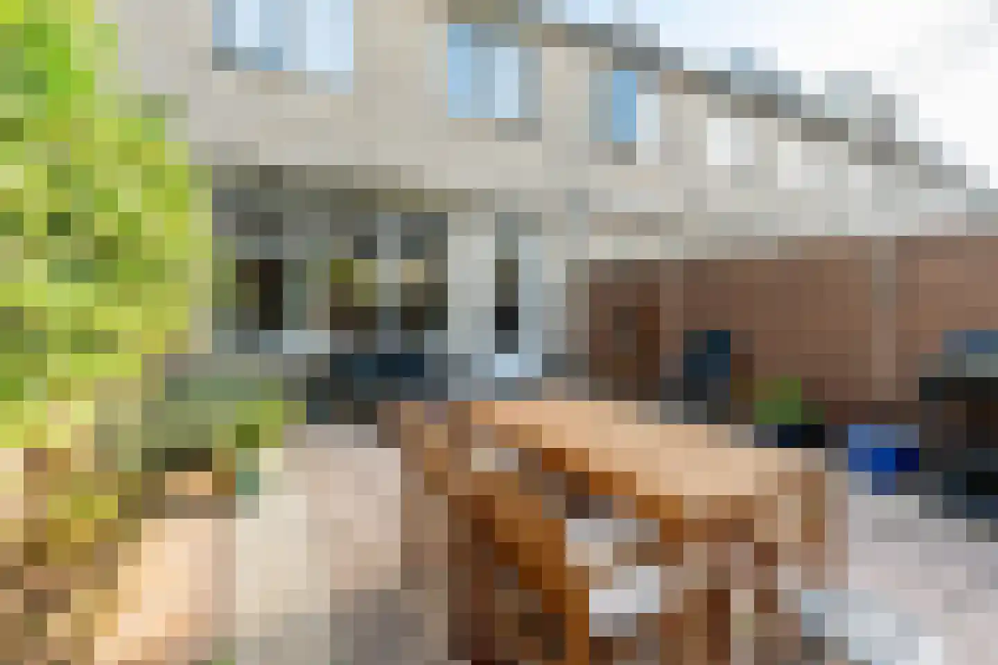 Meerkoet 42 Diemen thumbnail 17