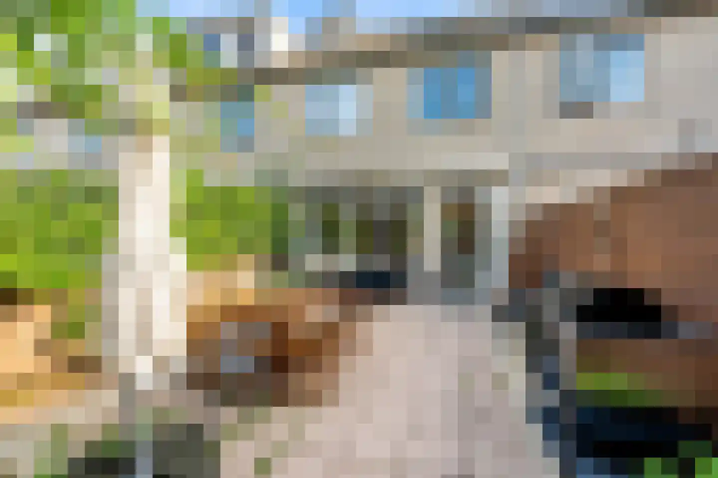 Meerkoet 42 Diemen thumbnail 18